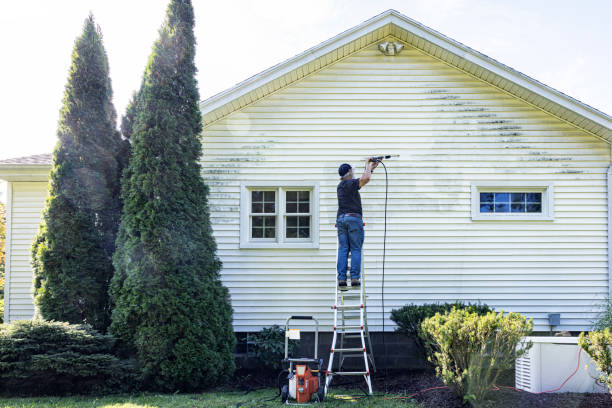 Best Gutter Cleaning  in Wanamassa, NJ